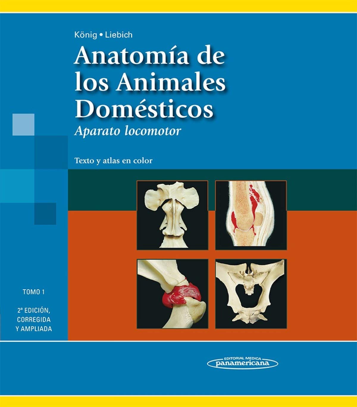 Anatomía de los Animales Domésticos T1