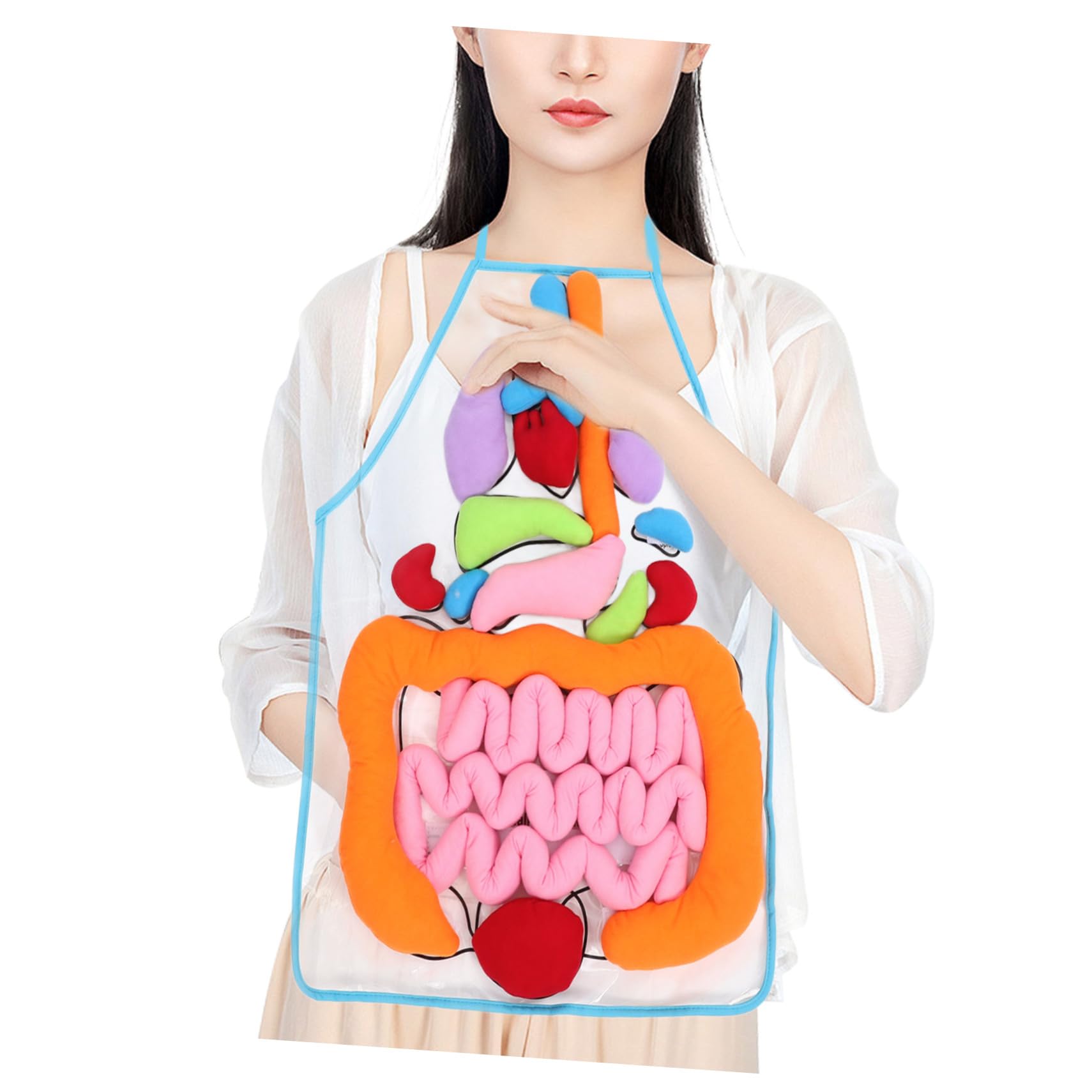 Delantal de Órganos del Cuerpo Humano en 3D para Niños Decoracion Colegio