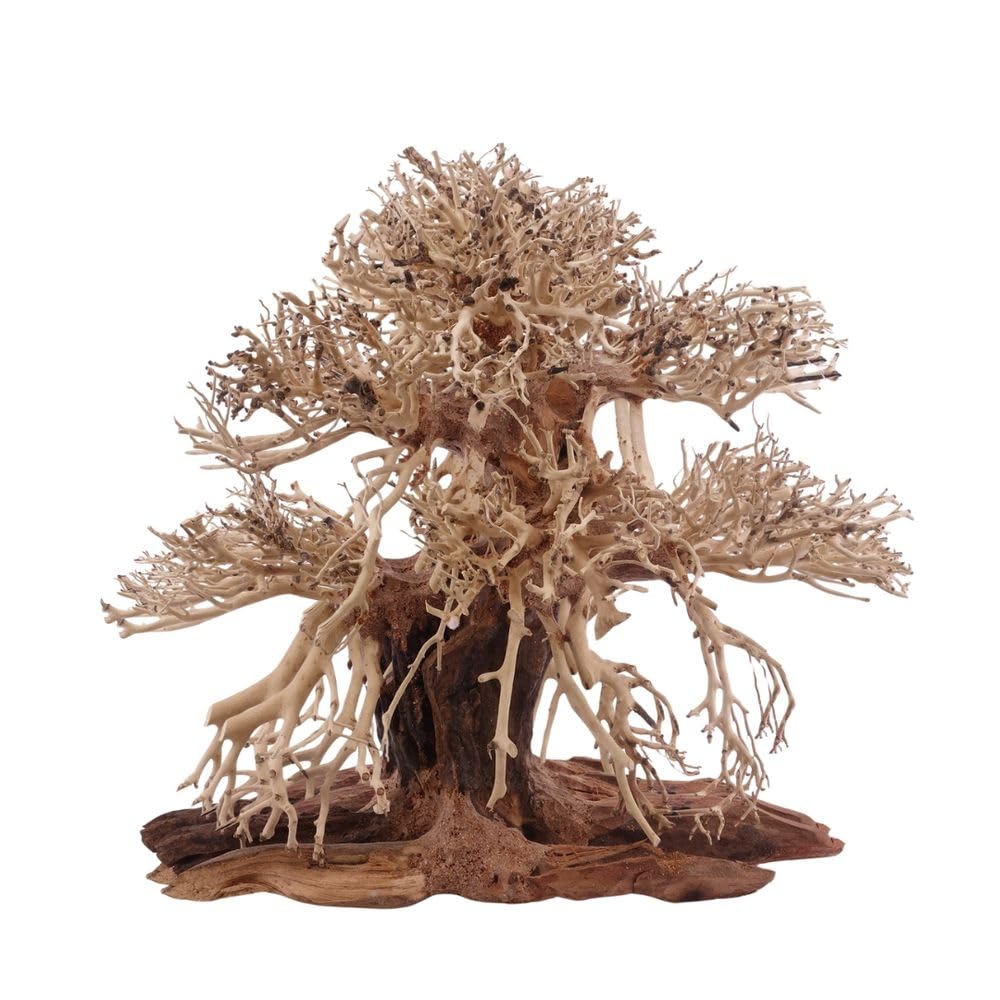 AquaOne Aquarium Premium Bonsai Baum L Bonsai Baum Wurzel Oriental Holz 30x15x30 cm I Aquascaping Dekoration I Natur Unikat Bonsaibaum I Landschaft Deko Unterwasserlandschaft
