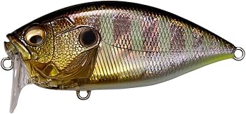 Amazon | メガバス(Megabass) ルアー O.R.C(オーバーレブクランク) GG