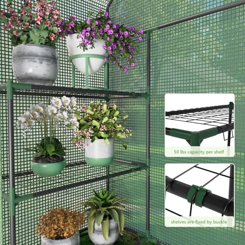 Image of Walk in Greenhouses, 57 x 29 x 76 inch Green House, Greenhouse for Outdoors with Durable PE Cover, Portable Greenhouse with Shelves Stands,Green
