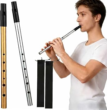 2 Pcs Premium Six-Hole Penny Slide Whistles, D Irish Tin Whistle