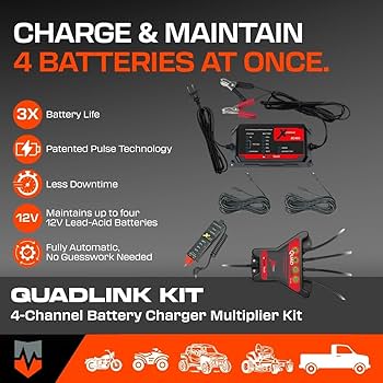 CELLＣＵＲＥ 4tplus Amazon.com: PulseTech 4-Station QuadLink 12V Battery