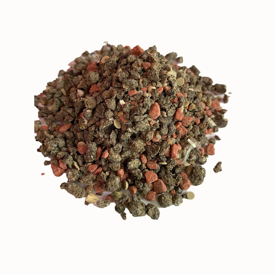 Exploding Bulbs BUL-BES-25L