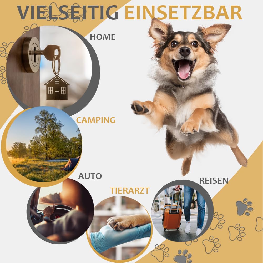 Faltbare Hundebox Transporttasche Transportbox Auto für Katze Hunde Große Kleine Box Bag Bed Decke Klein Auto Transport 7 Größen Taschen Fünf Farben Petigi (Grau, XL (82 x 57 x 58 cm)) - 3