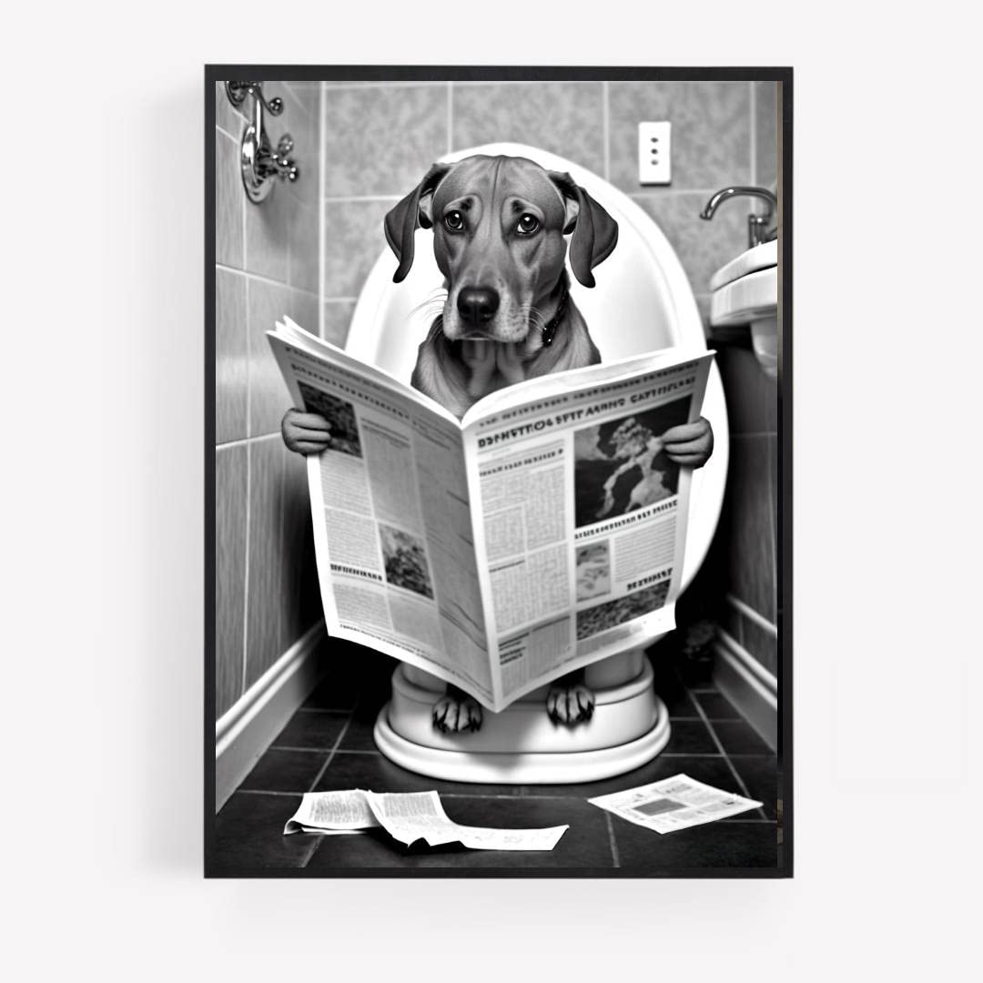 gfc Funny Bathroom Toilet animal Print Picture Poster dog labrador on a ...