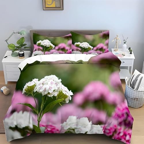 zcZbg _u  aQZbg lGKpʋCh_j - 1 |zcJo[E230x210 cm, 2Jo[E43x63 cm, Q |zcJo[