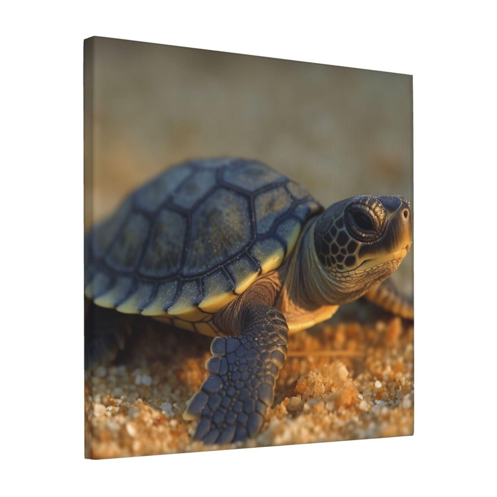 FodPand Baby turtle Canvas Wall Art for Living Room Wall Decor 12"x12" Modern Artwork Painting Pictures Hanging Canvas Prints Aesthetic Wall Art for Bedroom Bathroom Office Wallart Decor