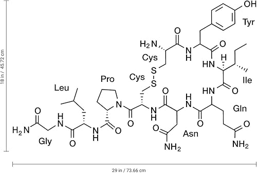Miniatura 2 de Calcomanía de vinilo para pared, hormona del amor oxitocina, 18 x 29 pulgadas, calcomanías modernas para el hogar, sala de estar, dormitorio,