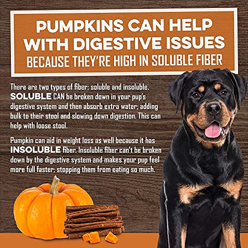 Brutus & Barnaby Sweet Potato Slices (14Oz) + Cinnamon Pumpkin Crunchy Sticks (14Oz) #TOP6