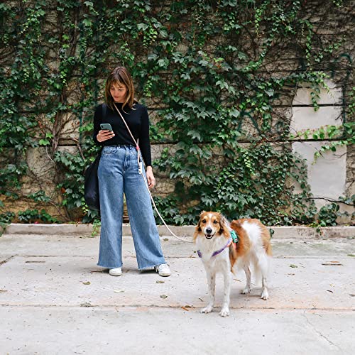 Gravity 3-In-1 Hands-Free Dog Leash, Versatile Crossbody Rope Leash, Adjustable Long Leash, Easy On The Wrist #TOP6