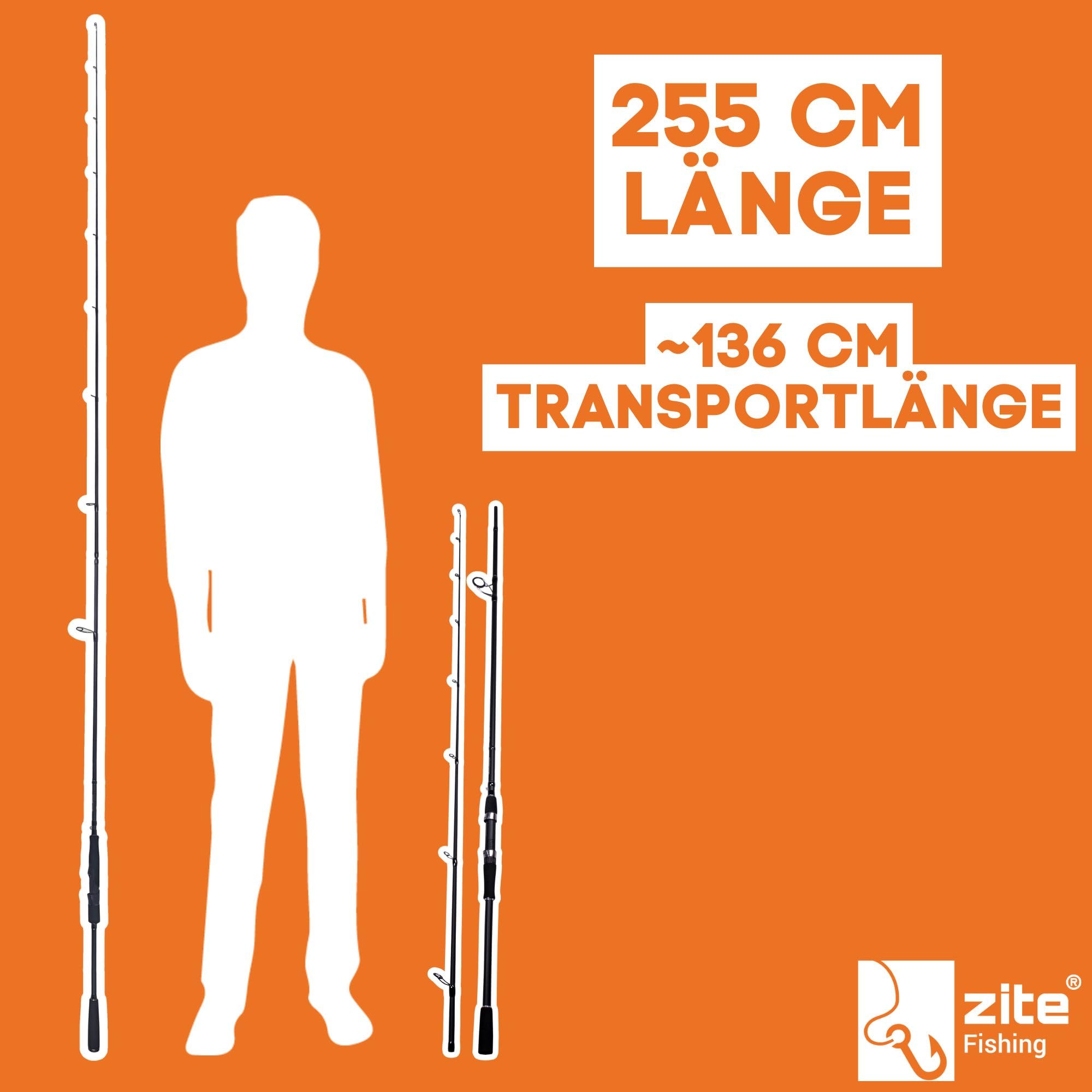 Zite Fishing Inzite Base Stick Rutenserie | Spinnrute Barsch Zander Hecht Rute aus 24T Carbon in 225 cm 255 cm& 5–85 g | Angelrute zweiteilig mit Eva Griff Hakenöse & Futteral Angelruten Angeln