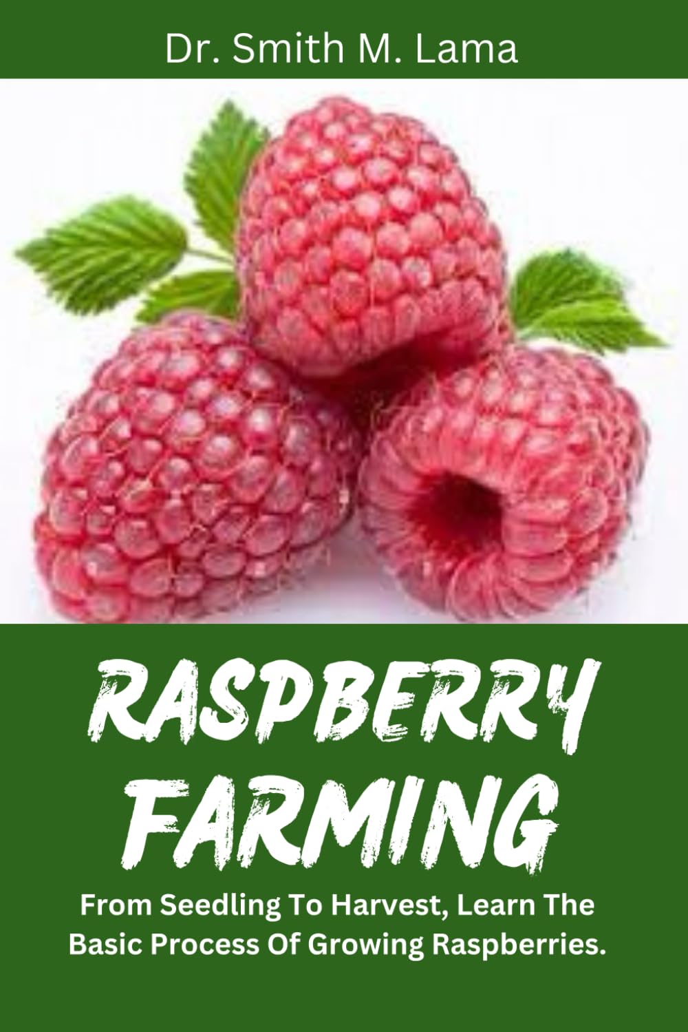 RASPBERRY FARMING: From Seedling To Harvest, Learn The Basic Process Of Growing Raspberries. (Plant and Animal farming, Herbs, Health and Nutrition)