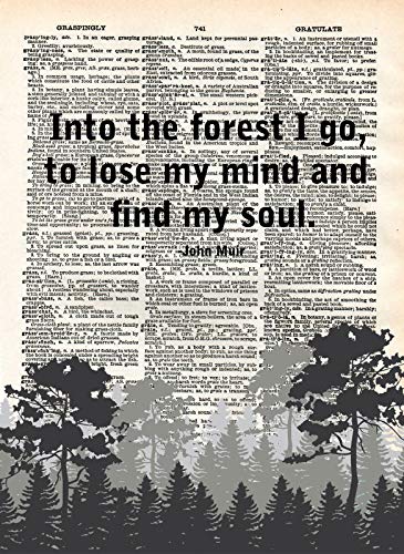 Into The Forest I Go John Muir Vintage Dictionary Art Page Book Print Forest Outdoor Landscape Poster Nature Quote Home Wall Decor Antique Artwork Trees Sign Motivational Inspirational Upcycled (8x10)