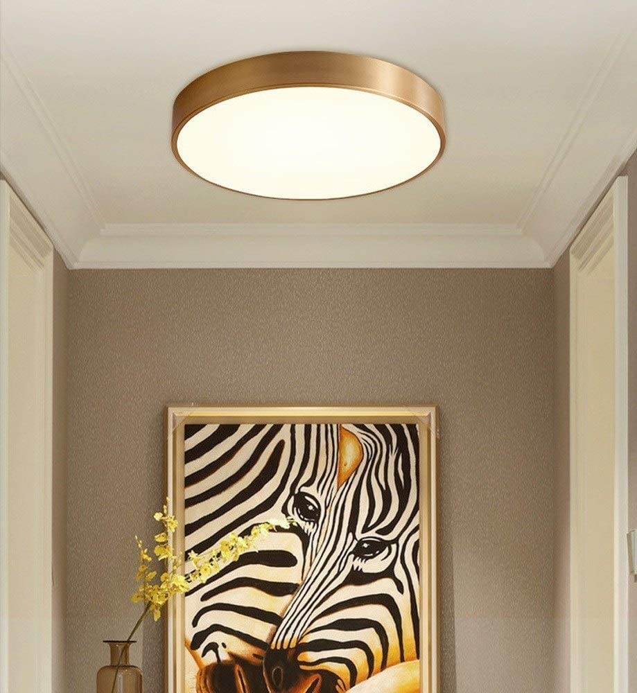 PZAOJAU Plafoniera da bagno in ottone antico a LED da cucina a basso profilo da soffitto tonda dimmerabile plafoniera da corridoio dorata per camera da letto Sala da pranzo Buan