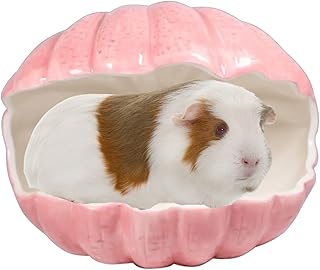 Small Animal Hideout Extra Large Ceramic Shell Shape Guinea Pig House Chinchilla Igloo Habitat Hut Cave Summer Bed Cage Accessories for Hedgehog Rabbit Hamster Gerbil Rat (XL (9.5'x7'x7.9'), Pink)