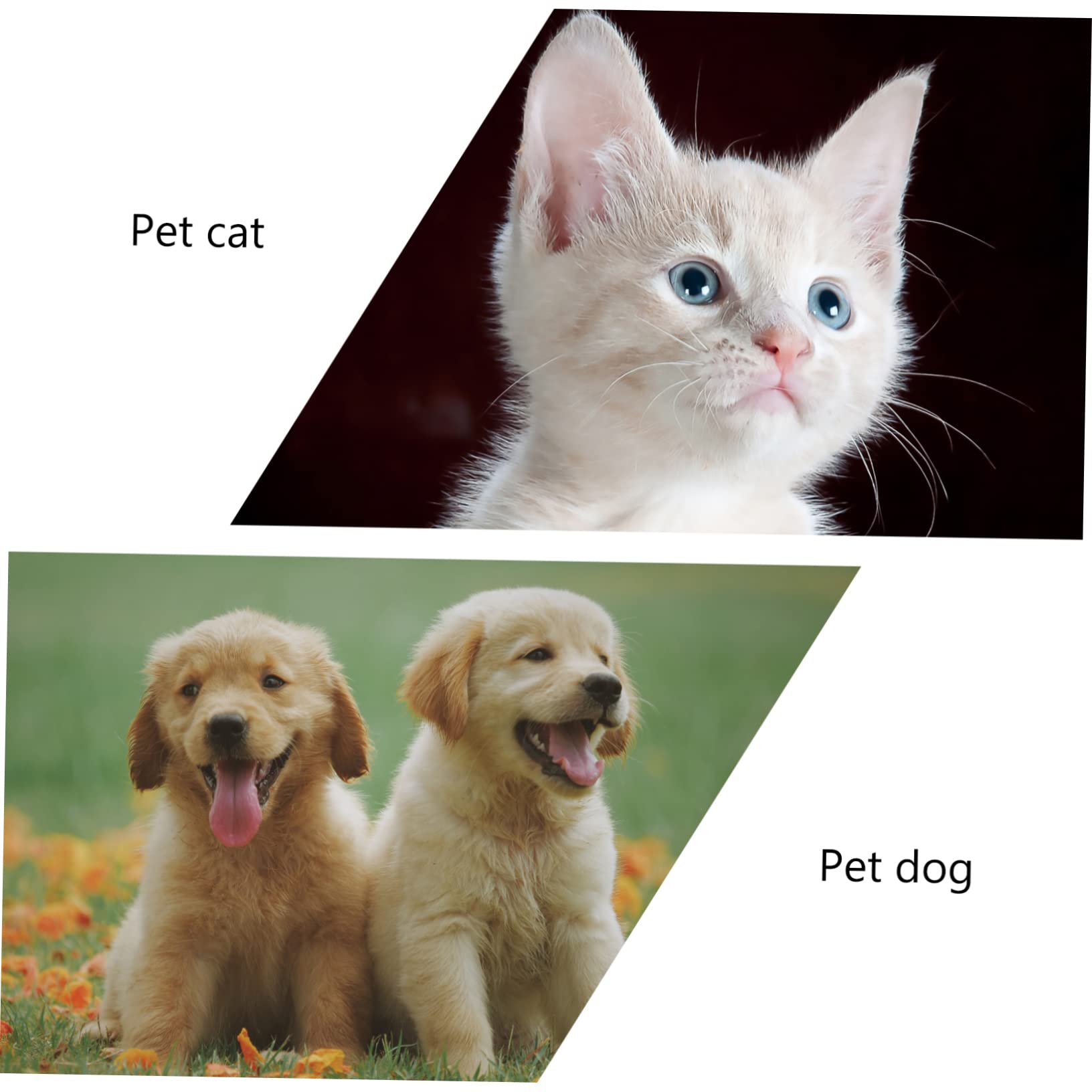 Cuenco Elevado para Gatos de Cerámica Protección Cervical