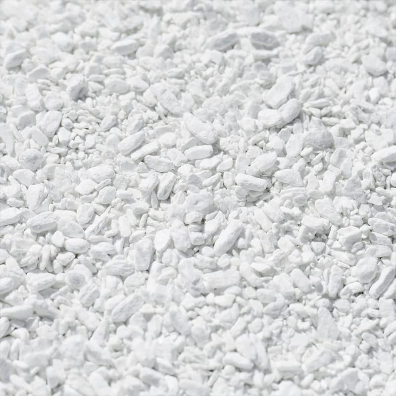 Virsus Dicloro Granulare 56 gr per acque piscina 5010, per la disinfezione dell’acqua, contro virus e batteri, Agente clorante stabilizzato per trattamenti shock e recupero acque deteriorate (10 Kg)