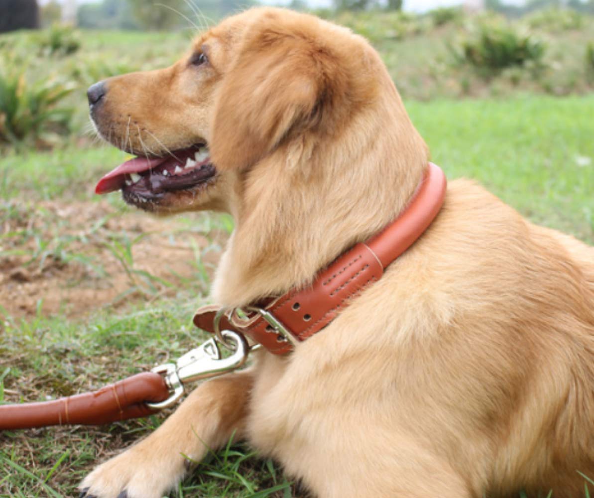 Correa para Mascotas Cuerda De Tracción para Mascotas para Perros De Tamaño Mediano con Collar, Cadena para Perros, Cuero, Cuerda para Perros, Paseo para Perros, Cuerda para Perros,