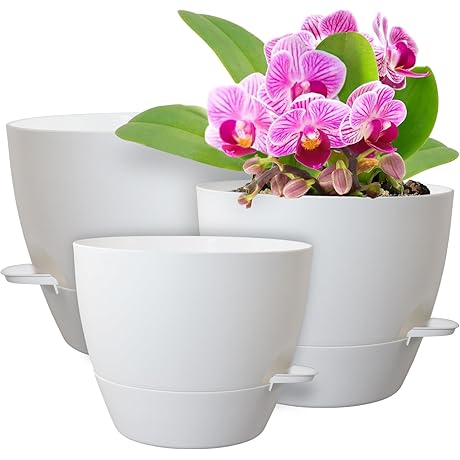 Premium Self-Watering Planters | Large Capacity for Maximum Plant Growth