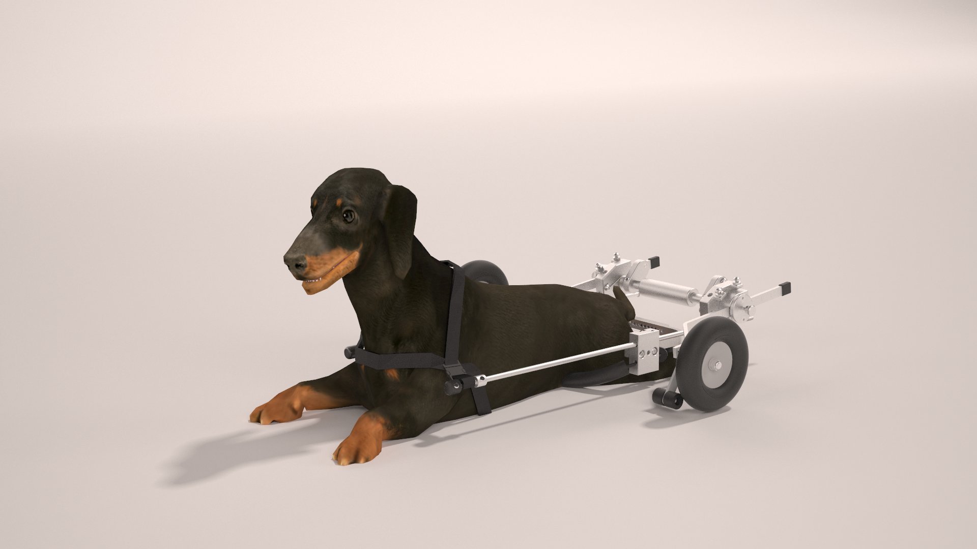Best Friend Mobility SitGo Dog Pet Wheelchair Revolution Buy Online in