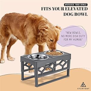 48oz-Stainless-Steel-Dog-Bowls-Set-2-Pack-for-Replacement-Dog-Bowl-for-Stand-6-Cups-Metal-Dog-Bowls-with-27-inch-Deep-Large-Dog-Water-Bowl-for-Raised-Feeder-with-Opening-7-14-8-inch - Cucciolini Doodles   48oz-Stainless-Steel-Dog-Bowls-Set-2-Pack-for-Replacement-Dog-Bowl-for-Stand-6-Cups-Metal-Dog-Bowls-with-27-inch-Deep-Large-Dog-Water-Bowl-for-Raised-Feeder-with-Opening-7-14-8-inch