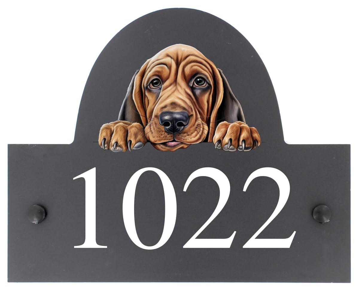 Targhetta personalizzabile con nome o numero civico in ardesia con cane Bloodhound – 25 x 20 cm