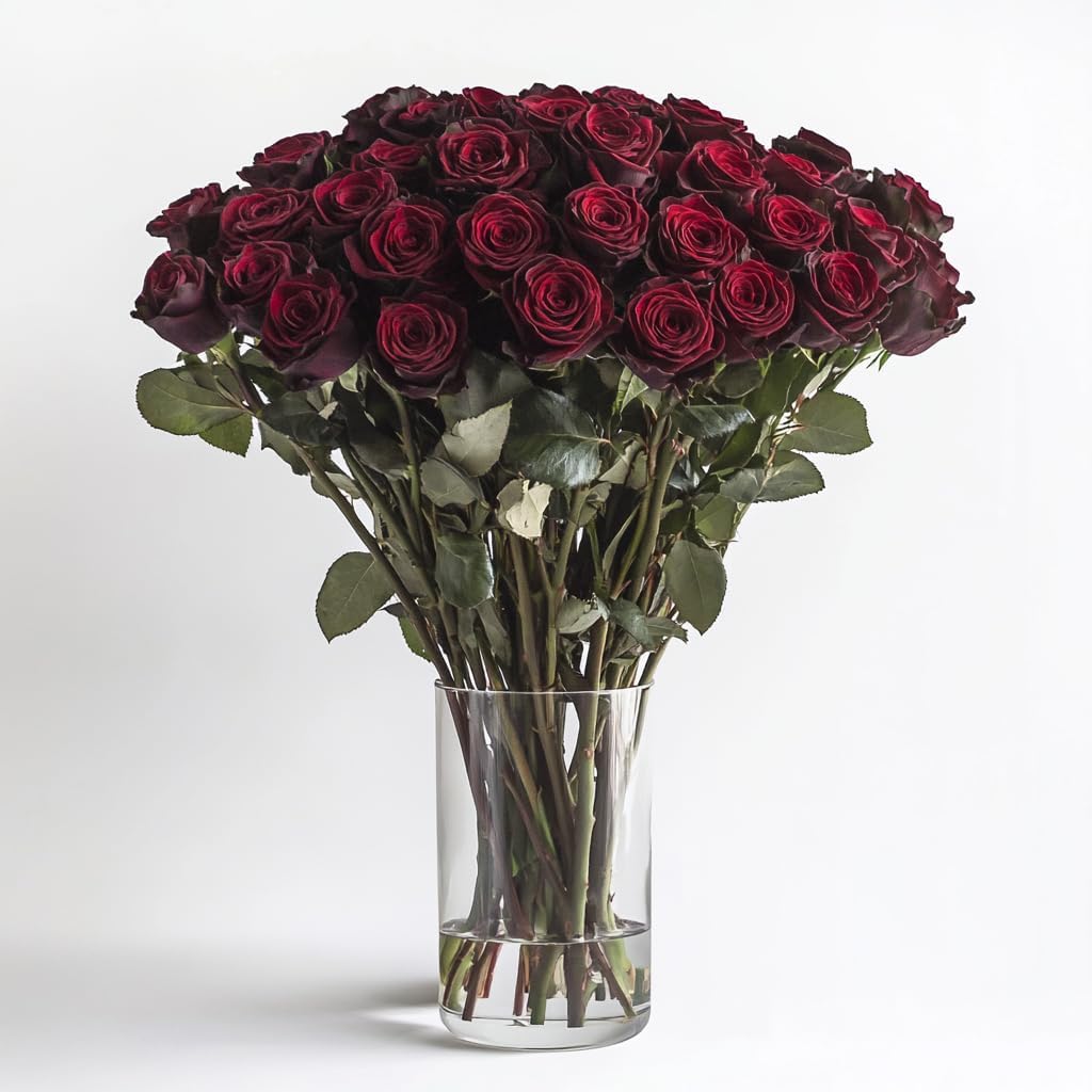 GlobalRose 150 Burgundy Roses Bouquet - Responsibly Sourced Roses Fresh Flowers - Hand-Picked Flowers Fresh Bouquet for Graduation, Anniversary, Birthday & Special Occasions (6 Bunches of 25 Stems)