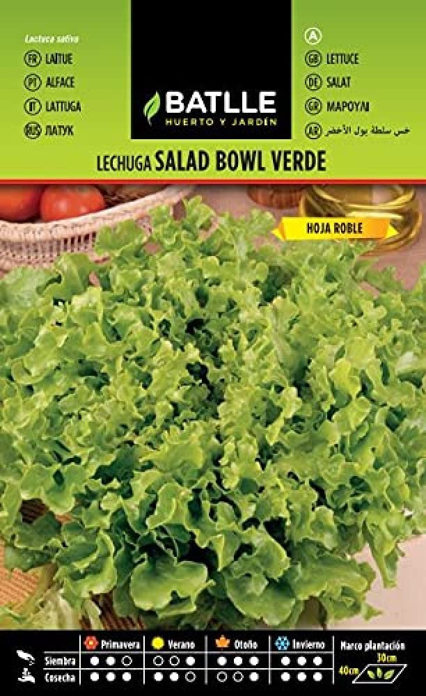 Semillas Batlle Lechuga Salad Bowl Verde