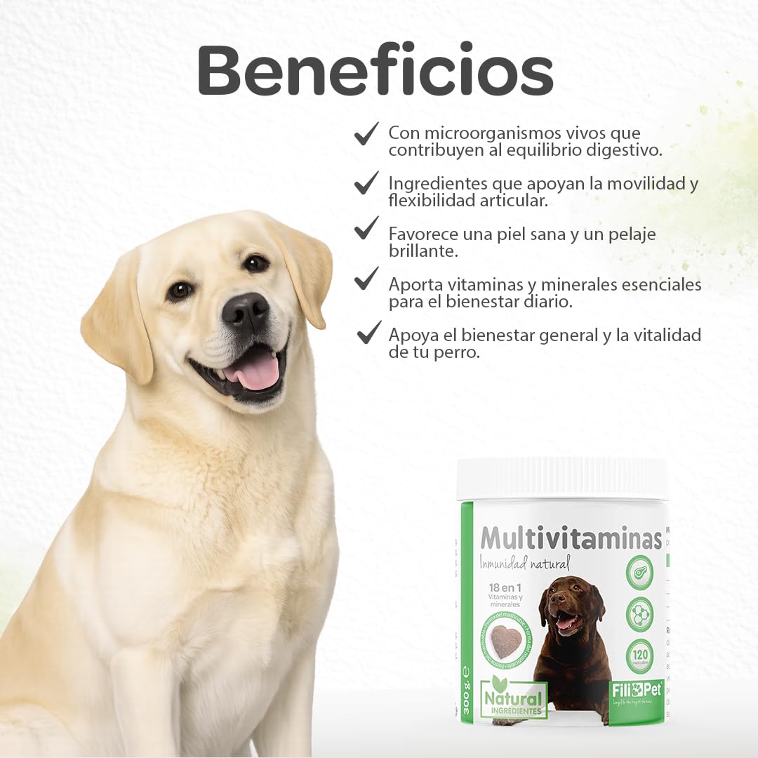 Multivitaminas y minerales para Perros, 120 masticables Sabor Ternera | con glucosamina, probióticos y enzimas digestivas | Apoyo Articular, digestivo e inmunológico