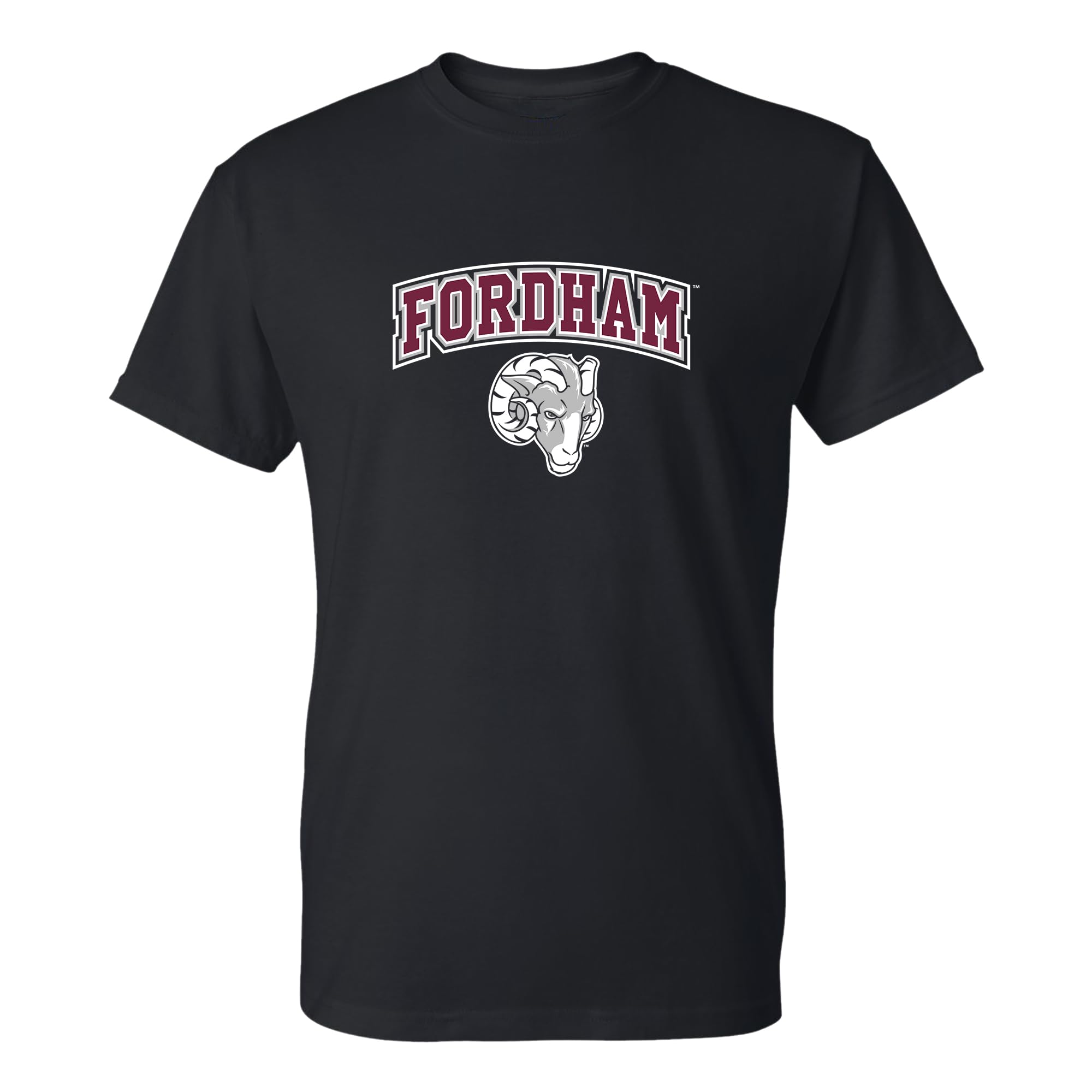 NCAA Arch Logo - NCAA Sports Team Color T Shirt — view 153