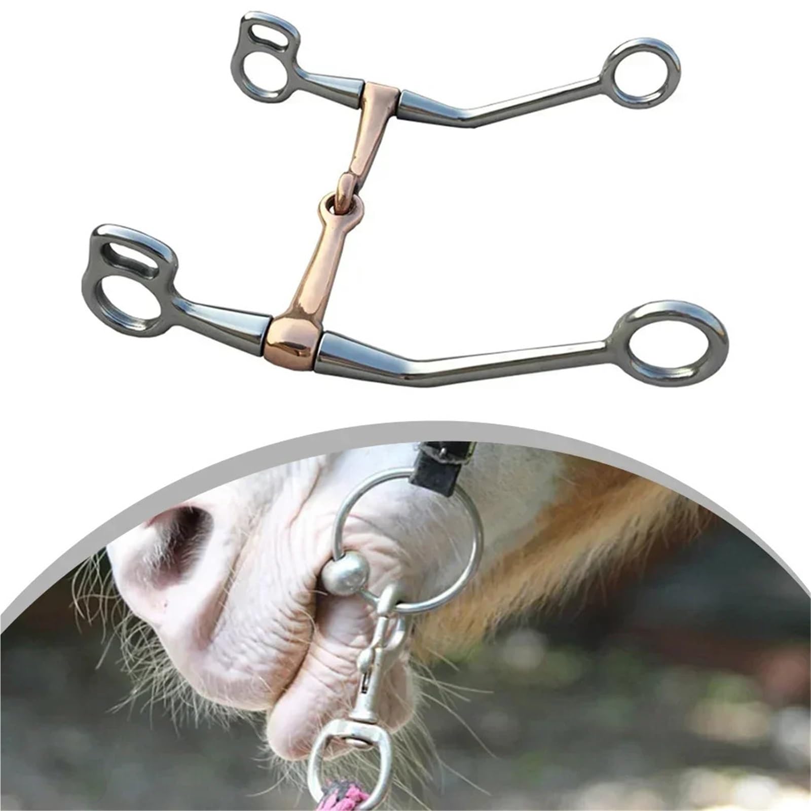 Caballo bit Broca de Caballo de Acero Inoxidable, Broca de Serpiente for mejillas Completa, Tachuela de Caballo de Boca de Cobre, 1 ud.