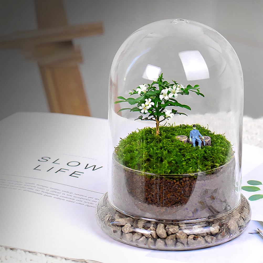 Bottiglia Di Vetro Per Terrario 6.69X4.72In Bottiglia Vuota Ecologica Con Cupola Trasparente Per Micro Paesaggio Muschio Display Casa Ufficio Decorazione