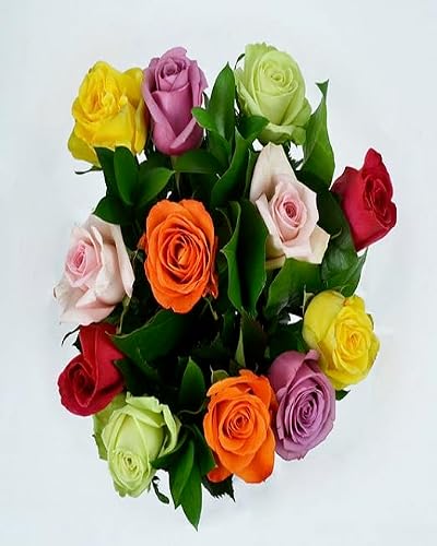 KaBloom PRIME NEXT DAY DELIVERY: 12 Assorted Roses with Classic Chocolate Dipped Berries with Vase.Gift for Birthday, Sympathy, Anniversary, Get Well, Thank You, Valentine, Mother’s Day Fresh Flowers