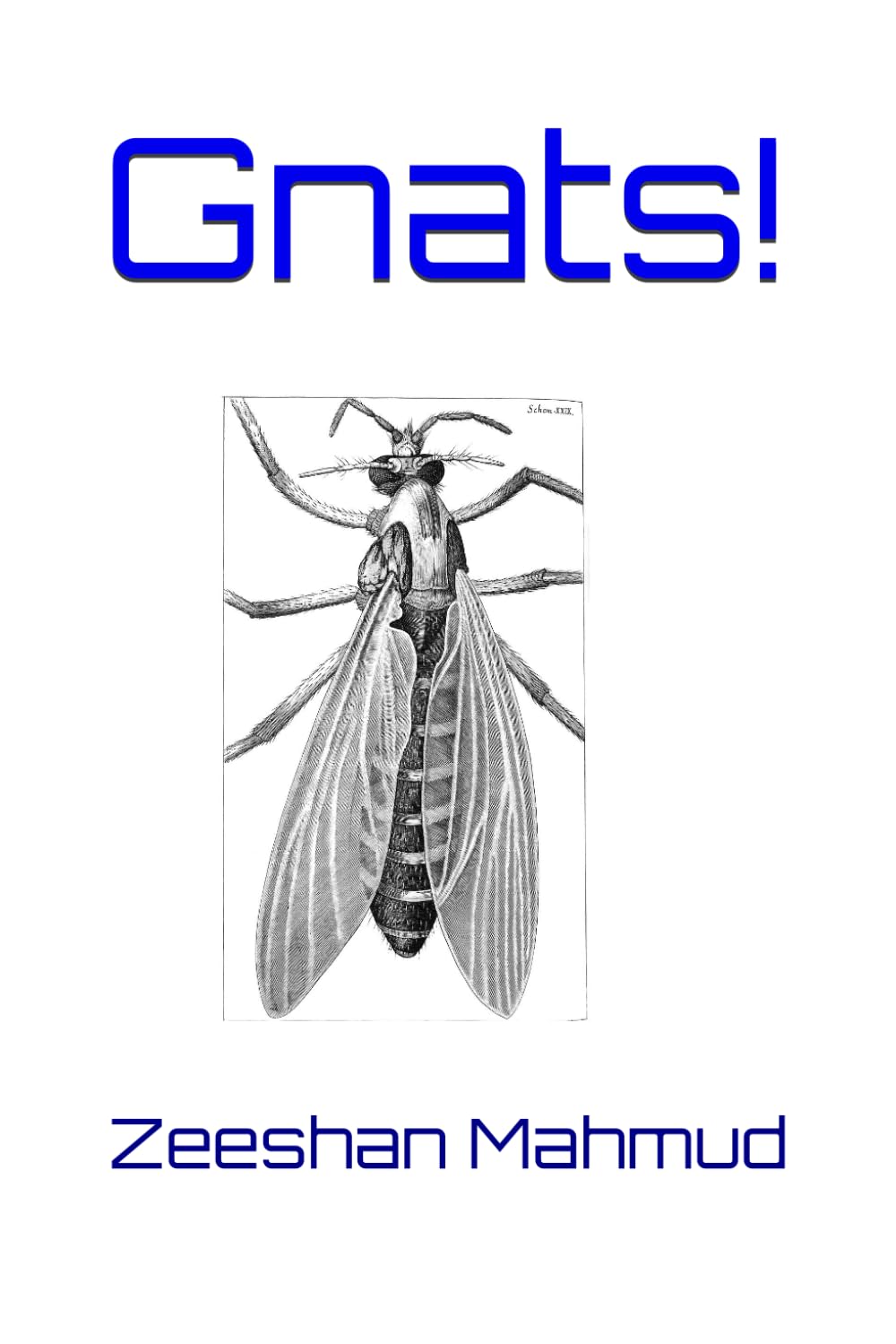 Gnats!