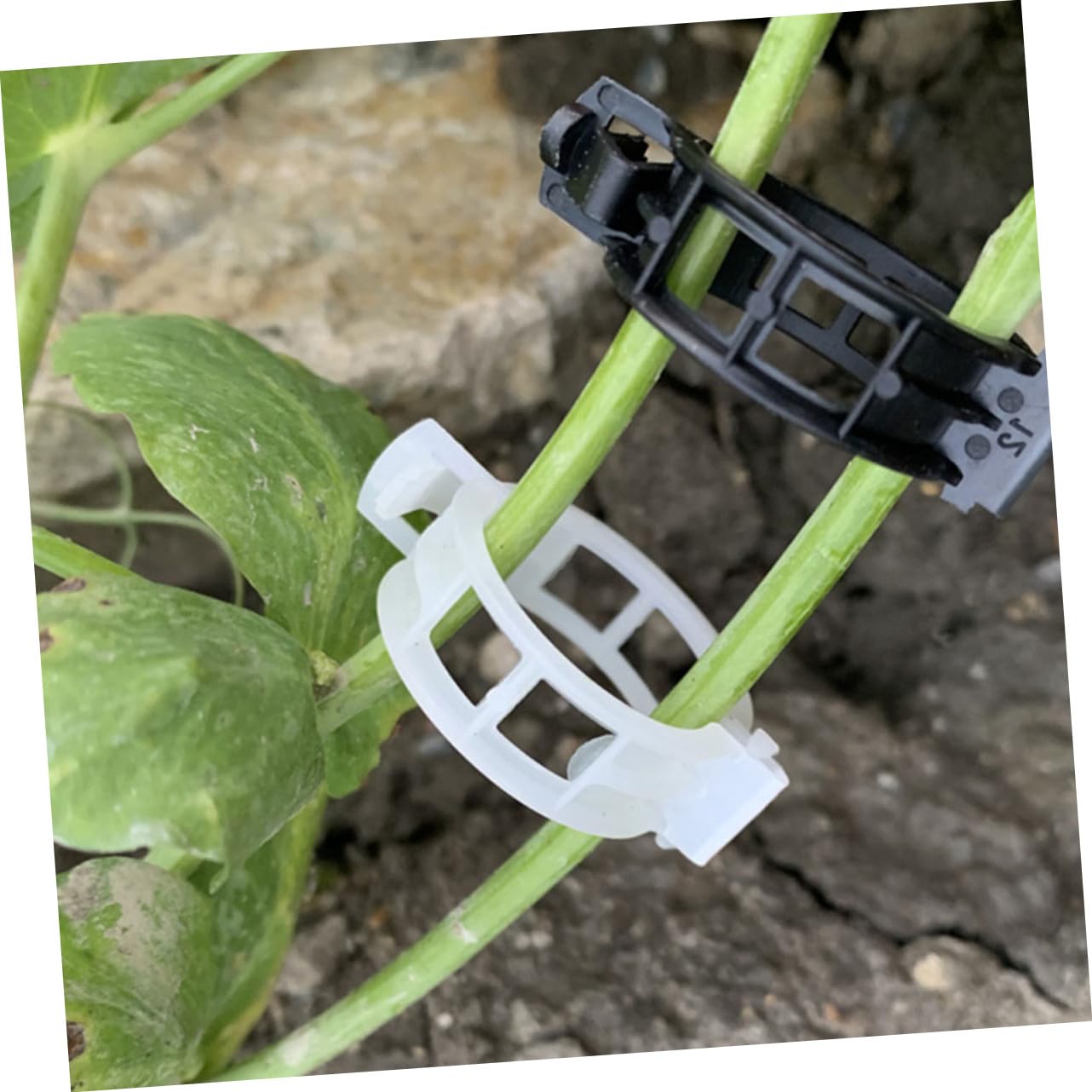 Hemobllo 400stücke Pflanzenclips Für Garten Verstellbare Klammern Unterstützung Von Tomaten Orchideen Und Kletterpflanzen Langlebige Pflanzenhalter Material Für Und Blumen