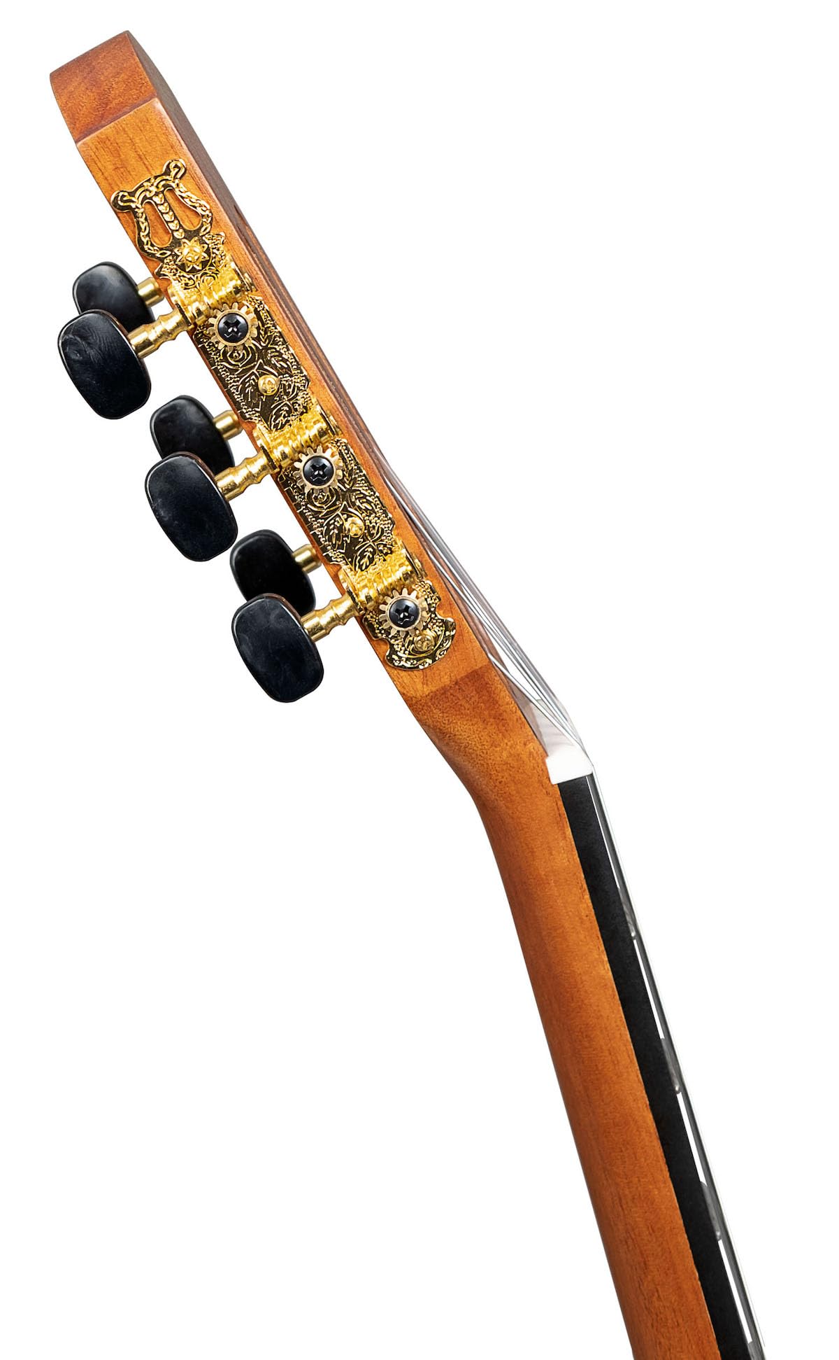 Stage Series Classic Guitar 3/4 (incl. borsa imbottita, 3 picchi)