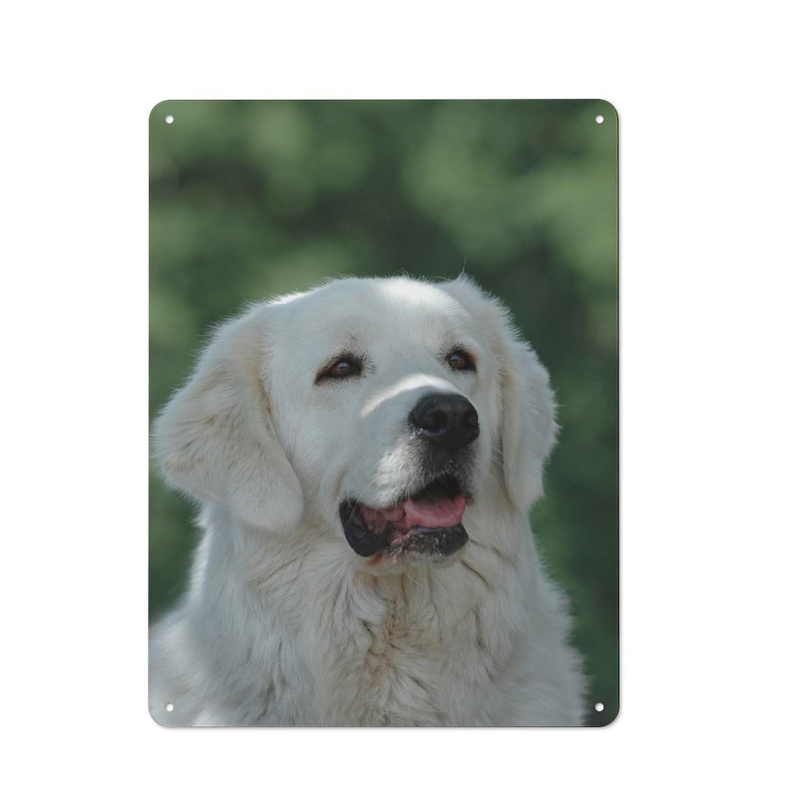 Junmoney Style-19 Retro Metal Wall Sign 40X30cm Featuring Tatra Shepherd Dog For Garage Wall, For Garage, Workshop And Man Cave Decoration