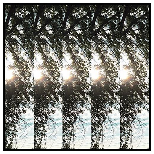 Dialectic of Ignorance [Vinyl LP]