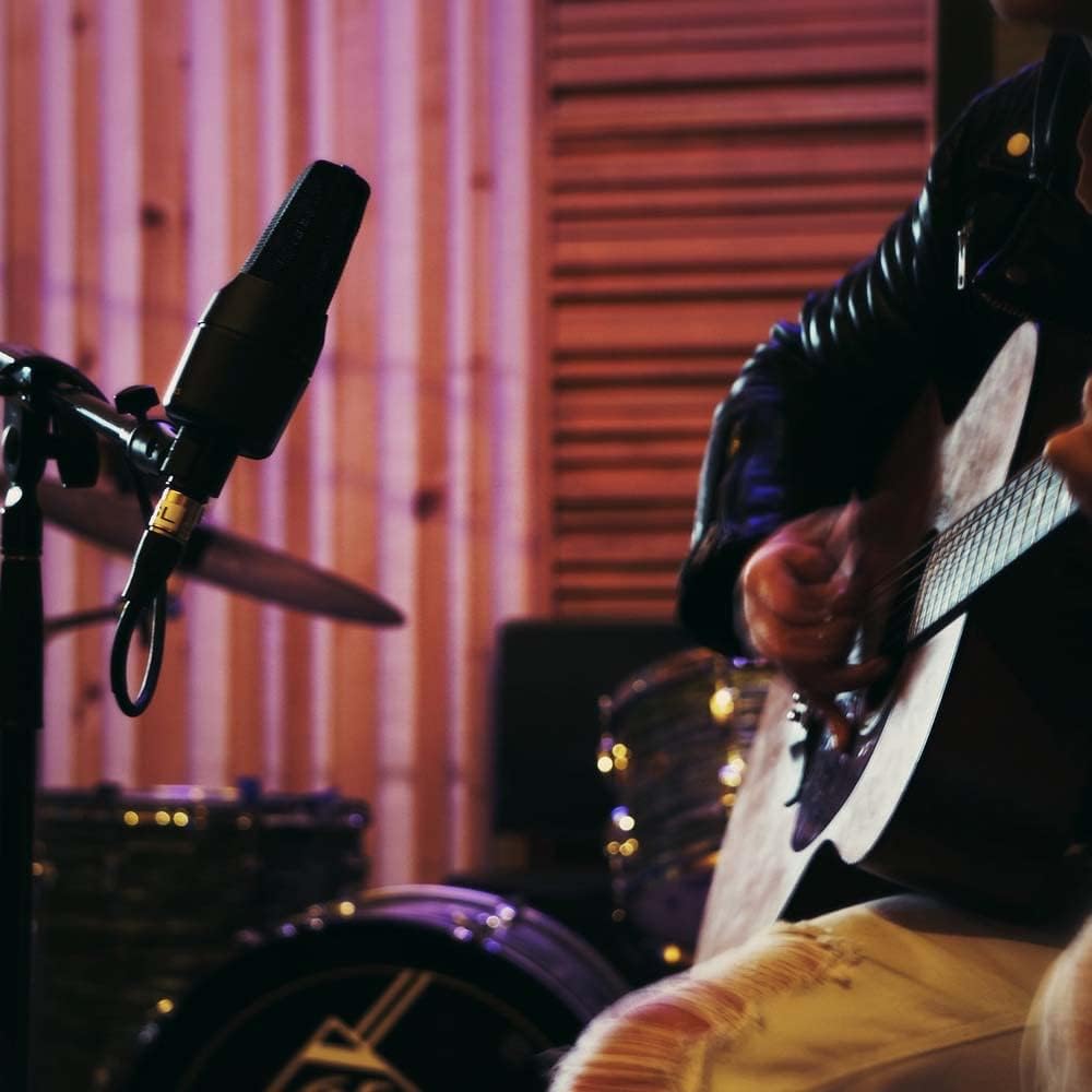 Best Deal 🛒 sE Electronics - X1 S Microphone with Reflection Filter X, Shockmount and Cable Pack for Vocals & Instruments Bundle with Blucoil 2-Pack of 10-FT Balanced XLR Cables, and 5-Pack of Reusable Cable Ties