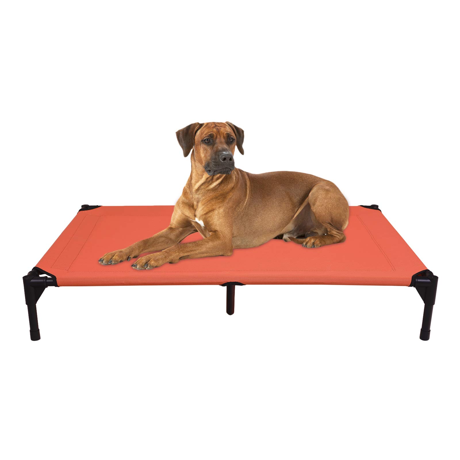 outdoor elevated dog bed