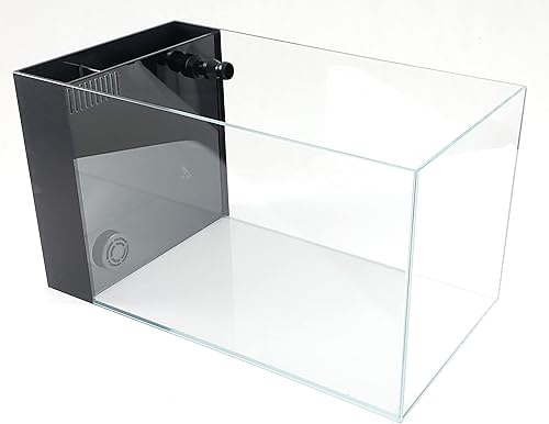 Miniatura 7 de Lifegard Aquatics Kit de acuario de cristal estilo península de 7.43 galones con filtro lateral integrado, calentador, luz LED y almohadilla de