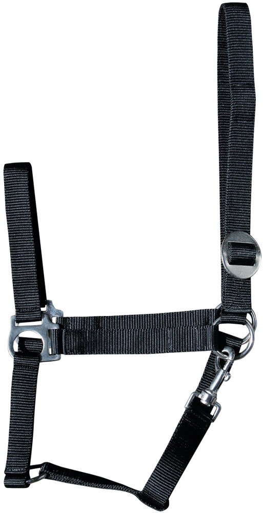 Licol noir Harry's Horse 31000925-001cob taille M pas cher pour pansage cheval