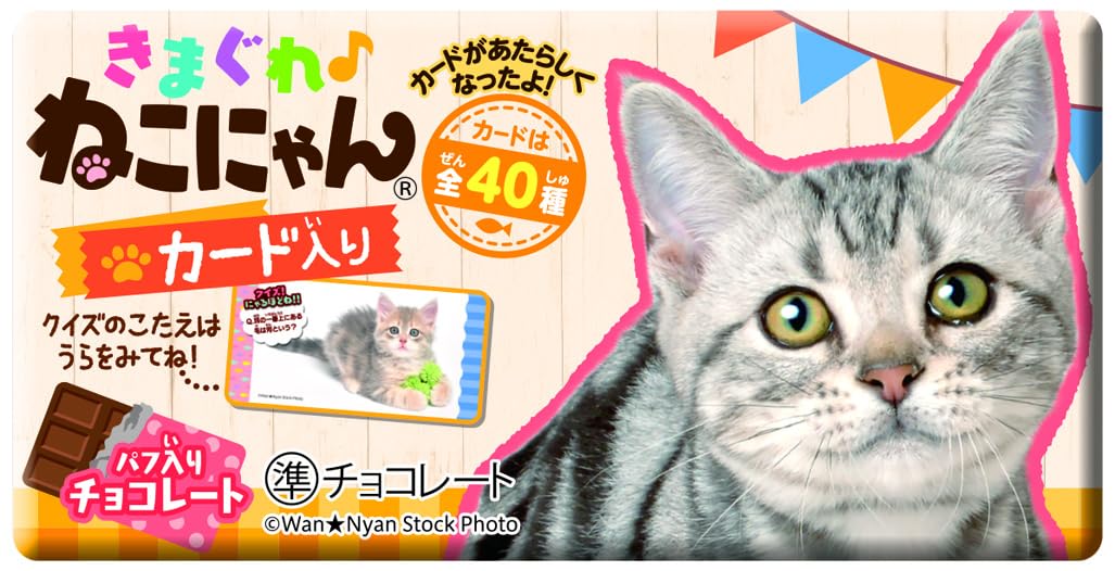 Amazon.co.jp: 正栄デリシィ きまぐれねこにゃん 1枚 ×20個 (× 2