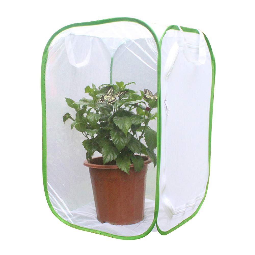 Kisbeibi Gabbia per insetti trasparente a forma di farfalla pieghevole M 15,74 x 15,74 x 23,62 pollici