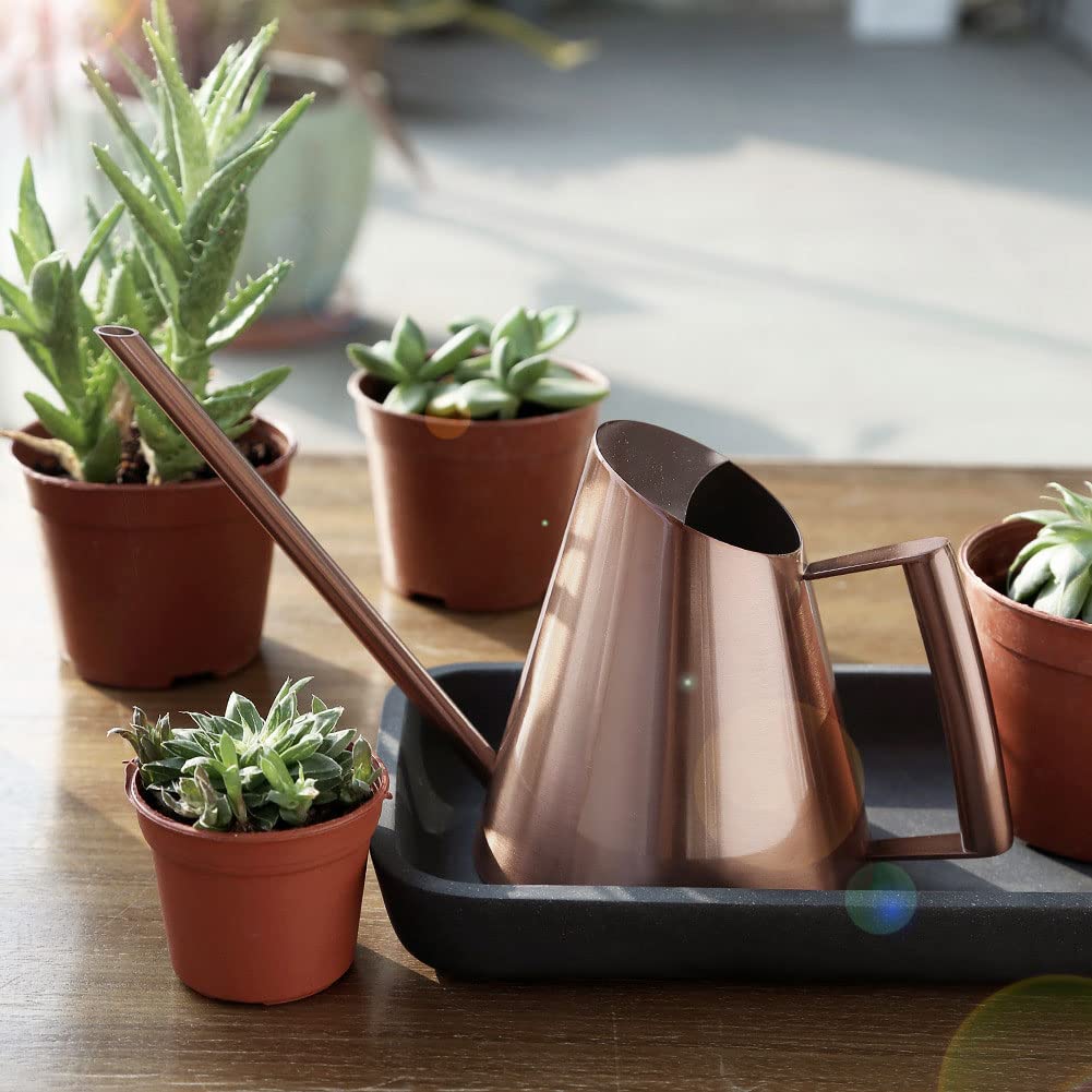 アンティーク金属製 じょうろ Amazon.co.jp: じょうろ おしゃれ ミニ ステンレス ブロンズ風 錆び