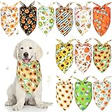 Dimensión grande: mide alrededor de 64 x 43 x 43 cm/ 25,2 x 16,93 x 16,93 pulgadas, los collares de girasol para perros son adecuados para la mayoría de los perros medianos a usar, no demasiado apretado o demasiado flojo, por favor confirmar el tamaño antes de ordenar