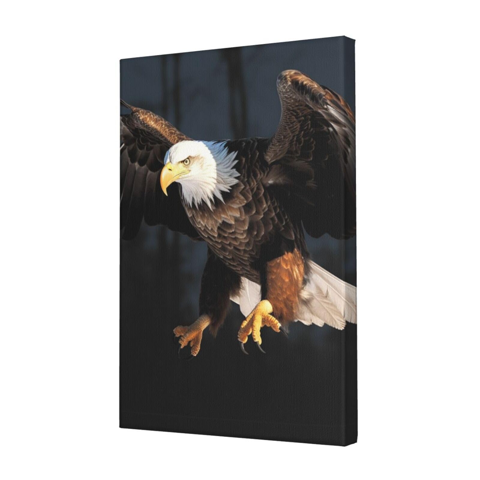 KLOPH Bald Eagle Canvas Wall Art for Living Room 12"x18" Modern Artwork Painting for Bathroom Hanging Canvas Prints Aesthetic Wallart for Bedroom Kitchen Office Wall Decor