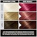 Punky Red Wine Semi Permanent Conditioning Hair Color, 3.5oz