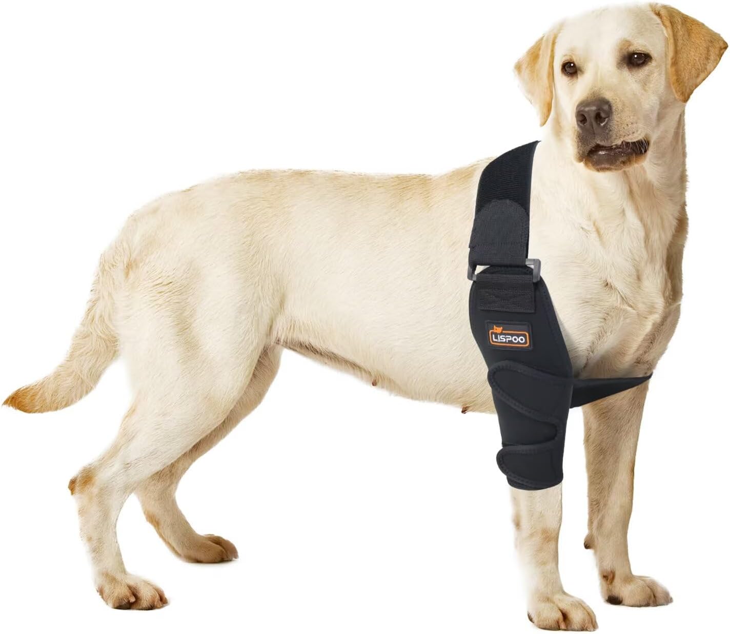 Dog Elbow Brace XL for Right Leg – Designed for Dogs with Elbow Dysplasia, Hygroma or Joint Instability – Shoulder and Elbow Support Wrap – Size XL for Large Dogs